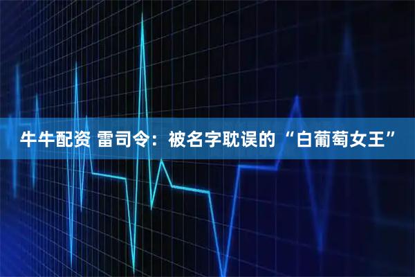 牛牛配资 雷司令：被名字耽误的 “白葡萄女王”