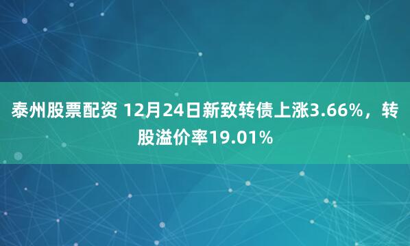 泰州股票配资 12月24日新致转债上涨3.66%，转股溢价率19.01%