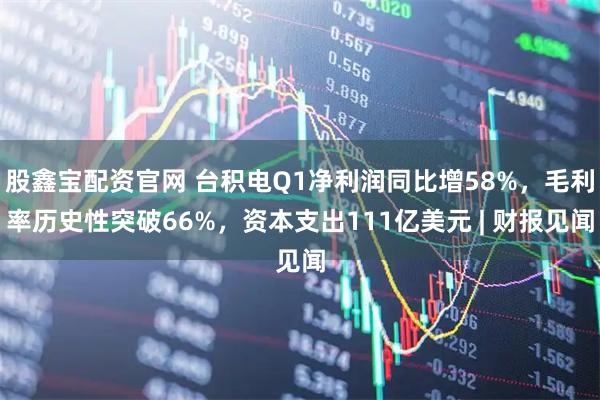 股鑫宝配资官网 台积电Q1净利润同比增58%，毛利率历史性突破66%，资本支出111亿美元 | 财报见闻
